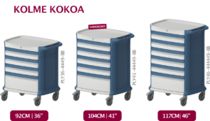 pegasus polyline vaunu mitat